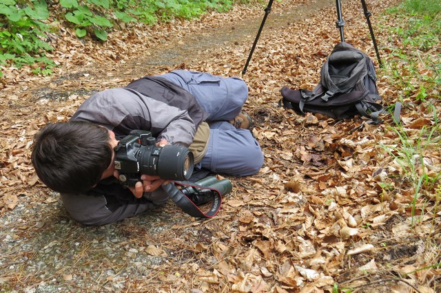 Wildflower photographer!