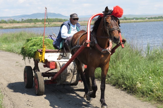 Local transportation