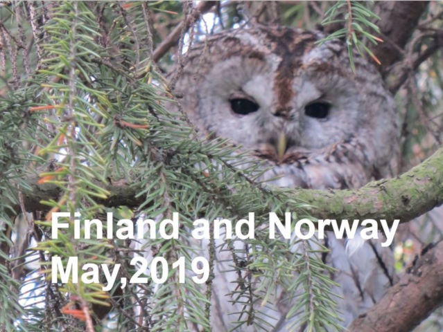 Finland and Norway, May 2019