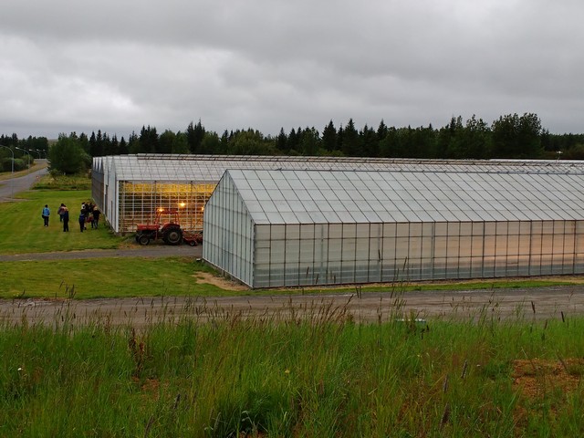 Greenhouses