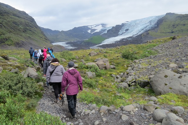 Glacier tour