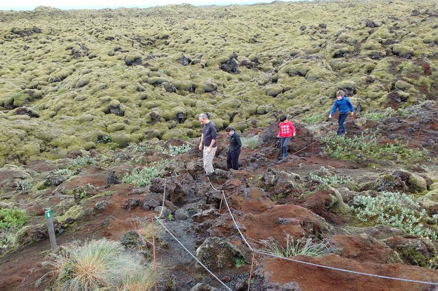 Lava field