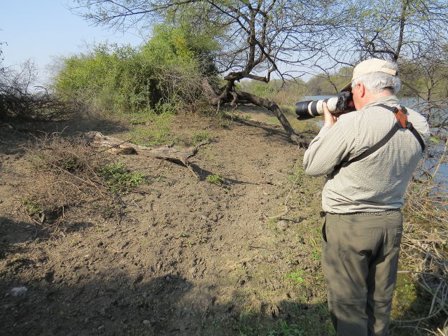 Rock Python