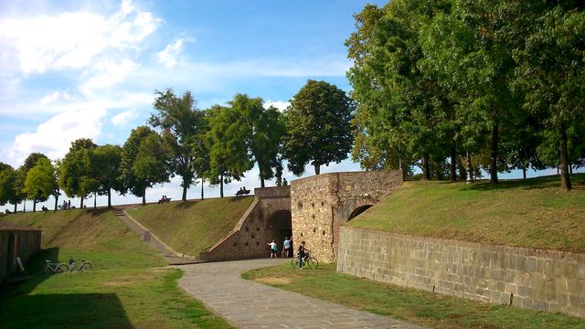 Lucca town wall