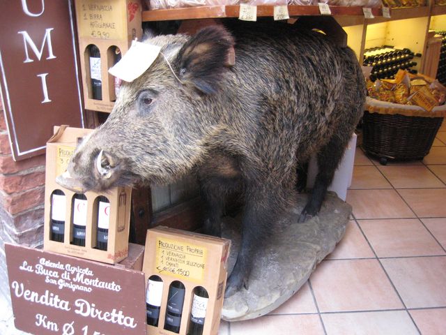 Stuffed wild boar