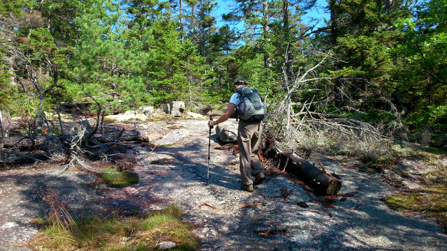 Heading upWhiteface