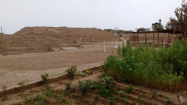 Huaca Pucllana