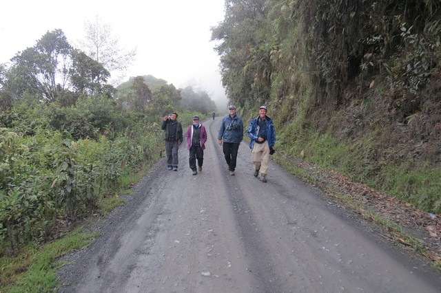 Manu Road birding