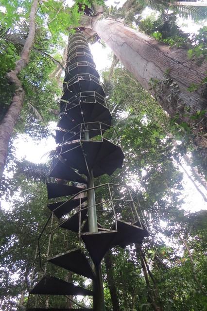 Canopy Tower