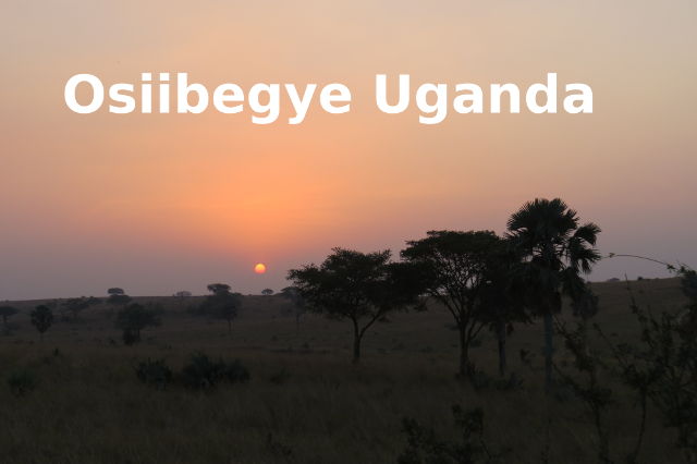 Goodbye Uganda